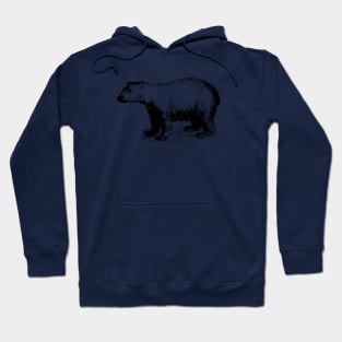 Polar Bear Hoodie